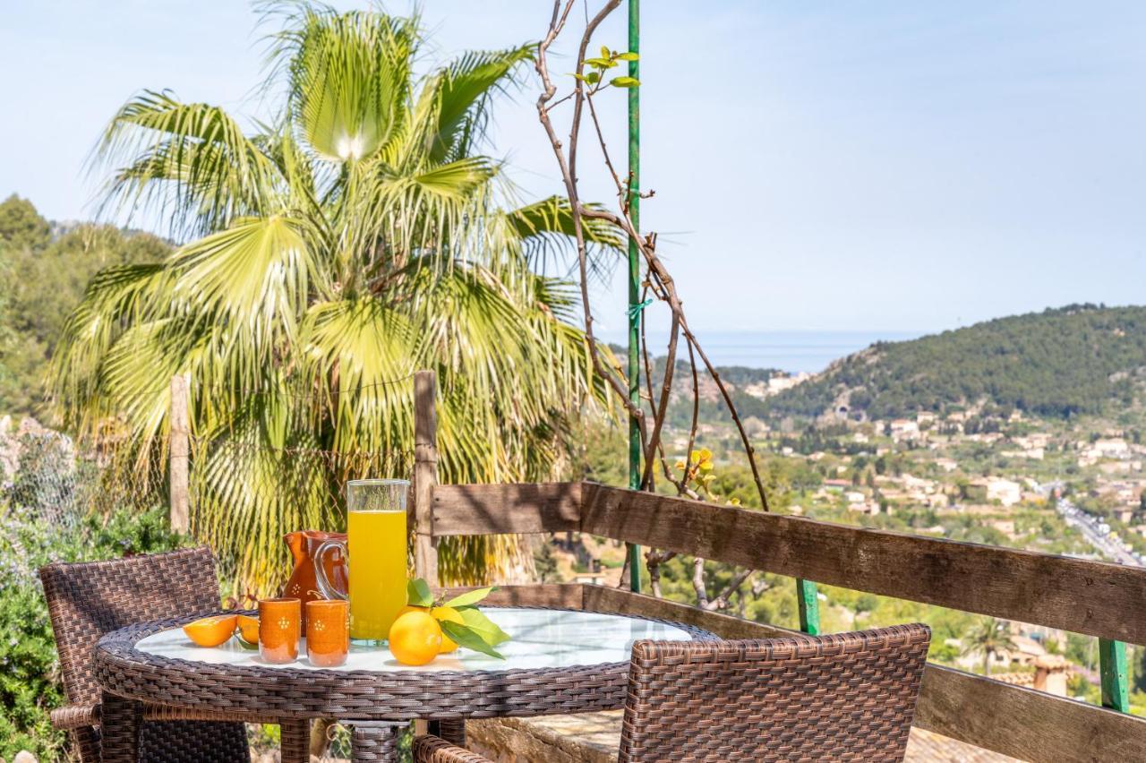 Jaumins * Sóller